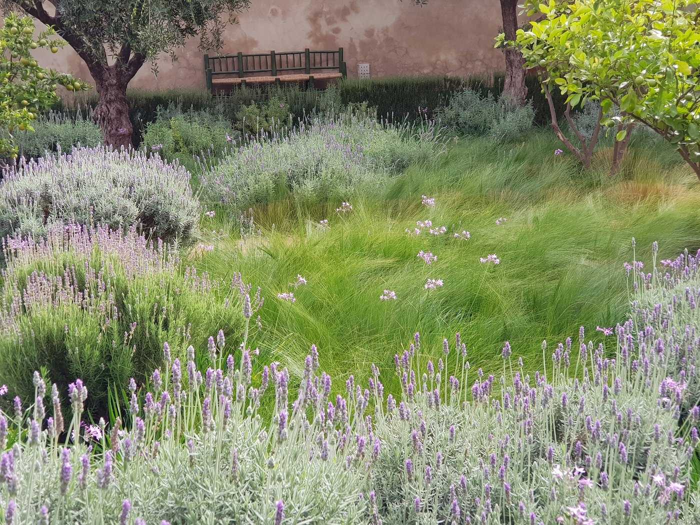 Le Jardin Secret